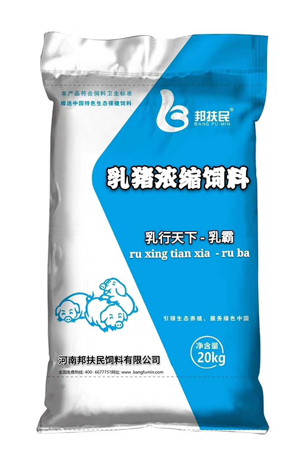 乳猪快猫短视频官网